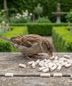 Huismus eet Premium Insecten Vetpellets van de voedertafel