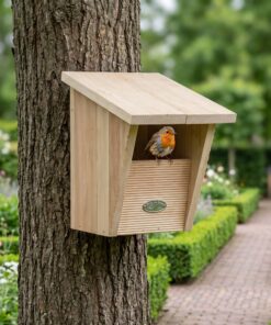 Roodborstje bij Roodborst Comfort Nestkast