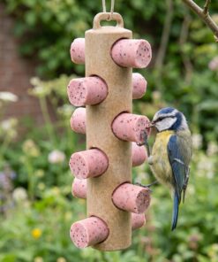 Pimpelmees eet uit Vetstaafjeshouder hout met 6 bessen vetstaafjes