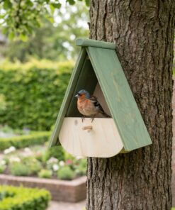 Vink bij Voederhuis Plateau Vink