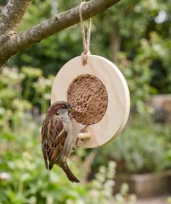Huismus eet vogelmousse uit blanke voederring