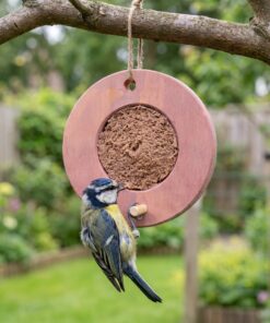 Koolmees eet vogelmousse uit roze voederring