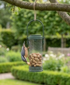 Boomklever eet pinda's uit kleine pindasilo