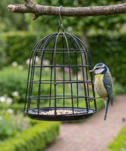 Pimpelmees eet uit vogelvoerhouder Milan