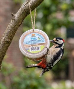 Grote bonte specht eet van Vogelmousse 250g