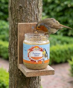 Roodborstje eet Vogelpindakaas Classic uit pot in houder