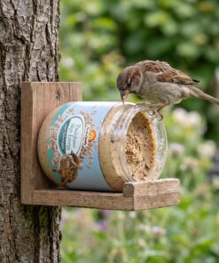 Huismus eet Vogelpindakaas High Energy uit pot in houder