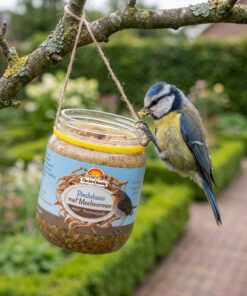 Pimpelmees eet van Vogelpindakaas met Meelwormen