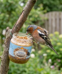 Vink eet van Vogelpindakaas Mix