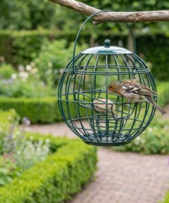 Vink eet uit Vogelpindakaas Start Pakket