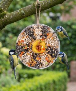 Mezen eten van hangende vogelpizza
