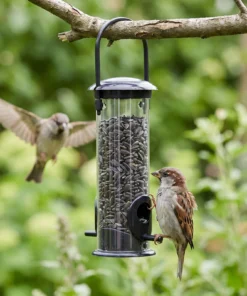 Huismussen bij een zwarte zadensilo in de tuin